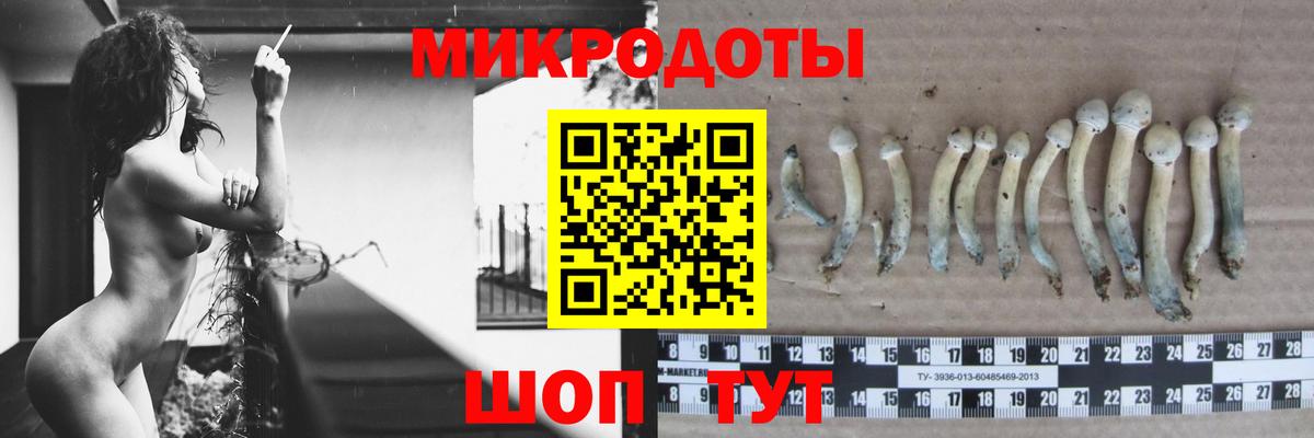 Коломна  Псилоцибиновые грибы мицелий  Вход с VPN 